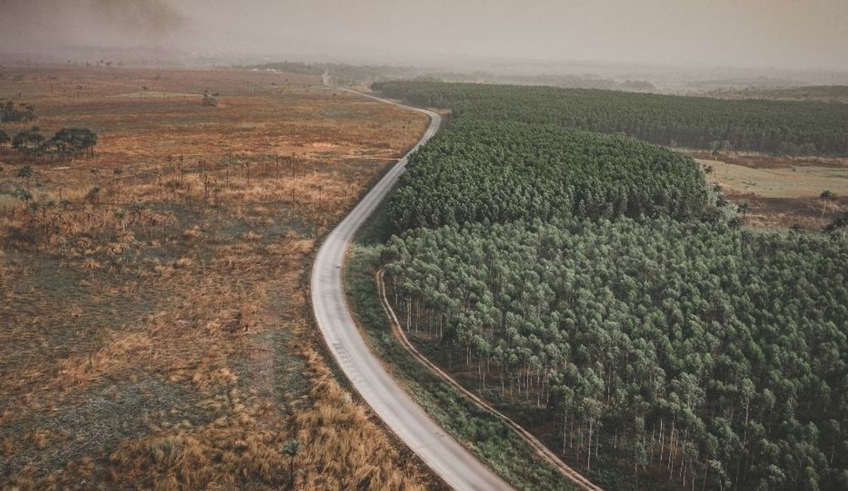 Le règlement de l'UE sur la déforestation en 2026