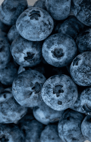 Agroalimentaire