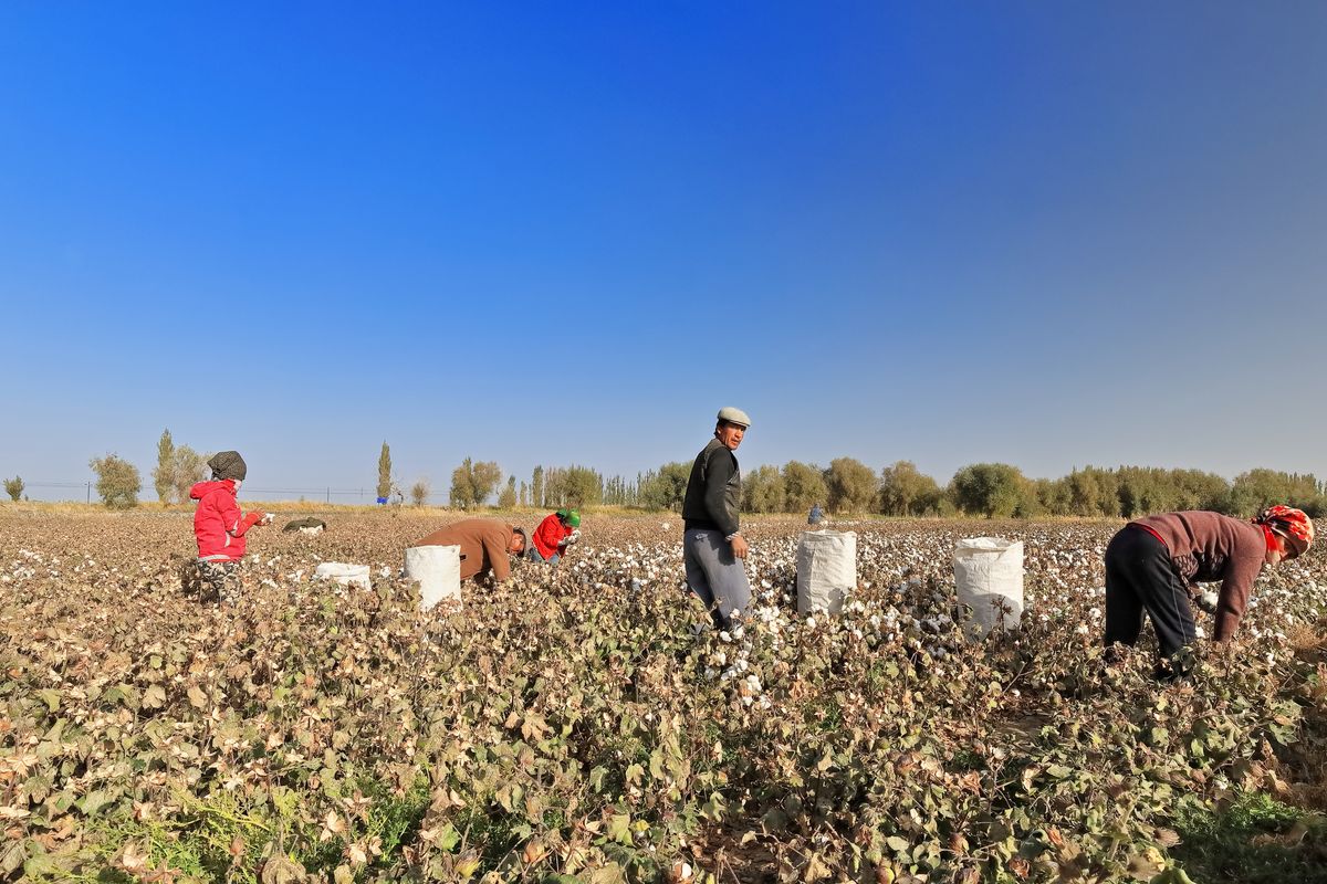 Le rôle de la transparence de la chaîne d'approvisionnement dans la réalisation des objectifs ESG