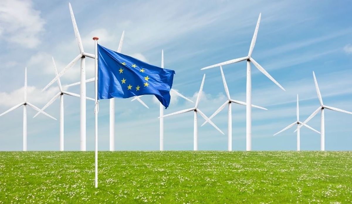 Naviguer dans les récentes mises à jour de la réglementation de l'UE sur la déforestation et les cadres ESG : Aperçus essentiels pour les entreprises