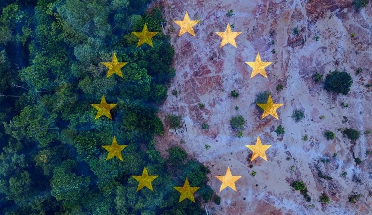 Report du règlement EUDR à 2026/2027 : Nouvelle Chronologie, Simplification & Ce que les Entreprises Doivent Faire 
