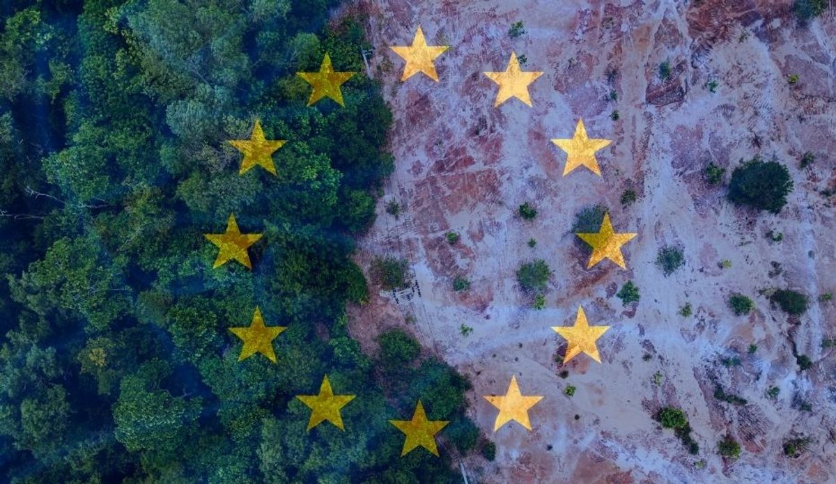 Report du règlement EUDR à 2026/2027 : Nouvelle Chronologie, Simplification & Ce que les Entreprises Doivent Faire