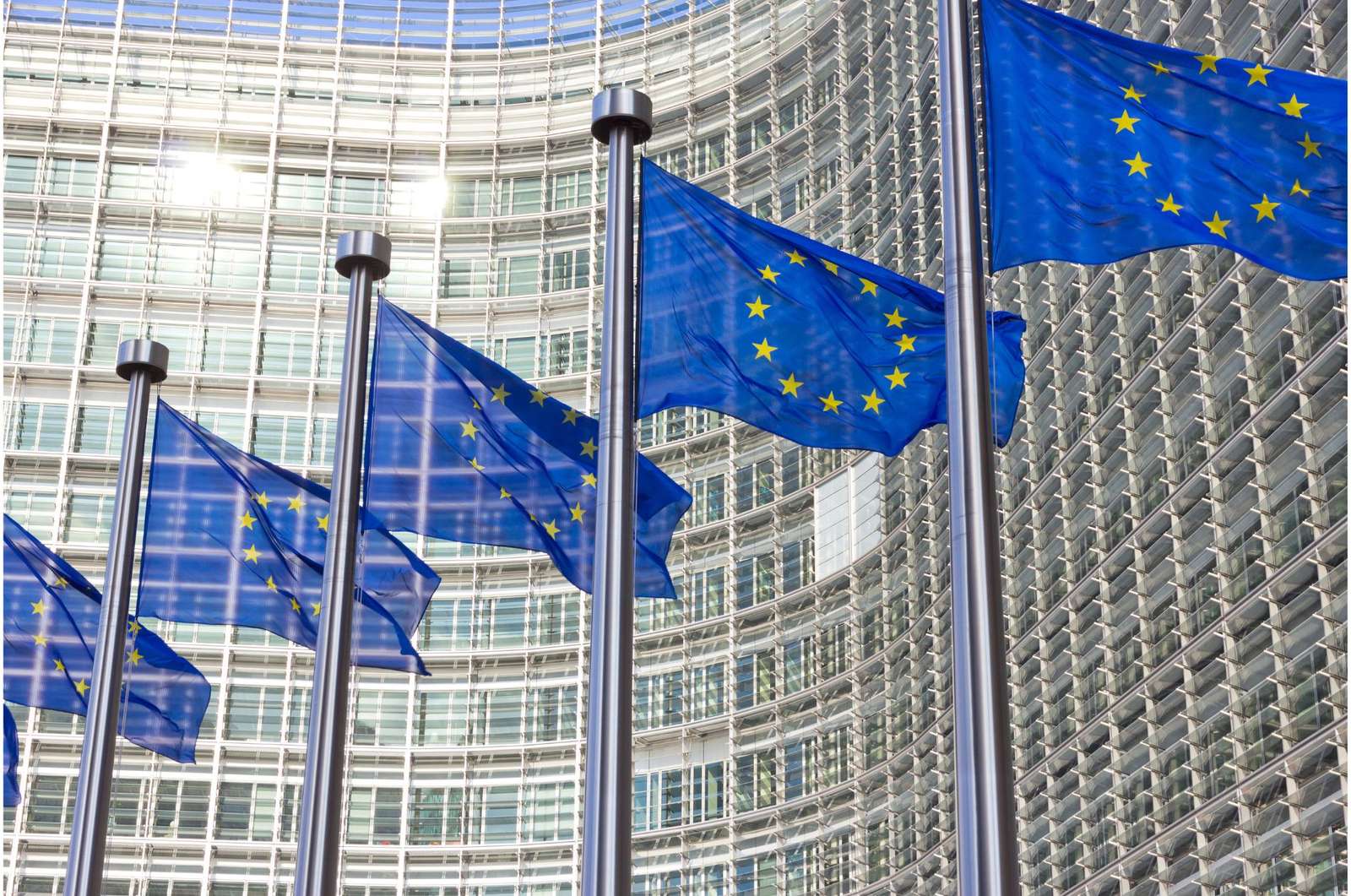 A line of EU flags in front of a building