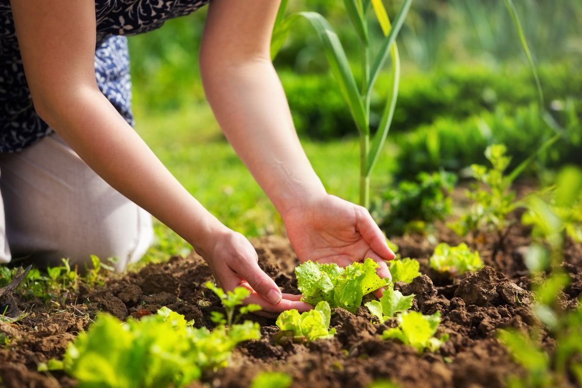 Conquérir de nouveaux marchés : Le rôle de la certification biologique dans le processus d'expansion de votre entreprise