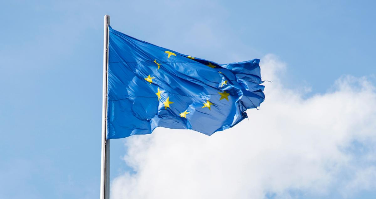 Réglementation REACH : ce que chaque marque et importateur de produits de placement sur le marché de l'UE doit savoir