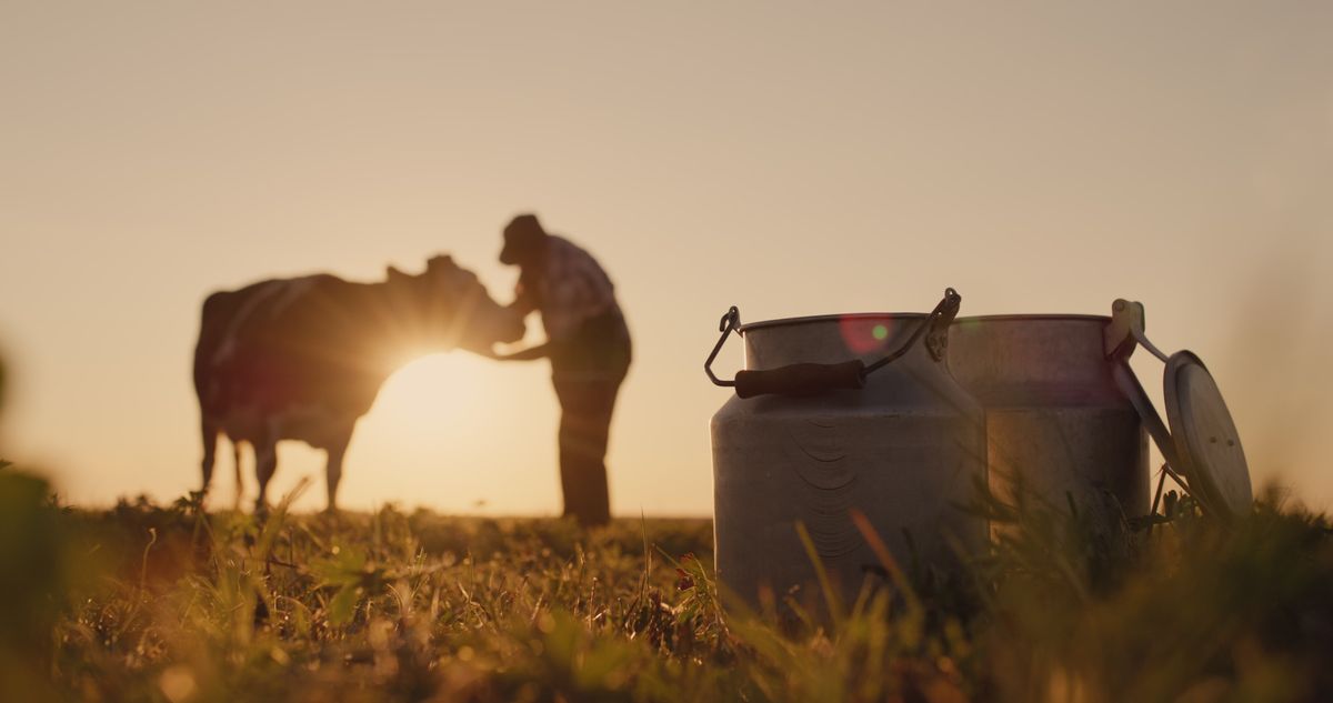 QIMA et Nutron/Cargill lancent le programme de certification du bien-être animal Nutron Bem+Leite