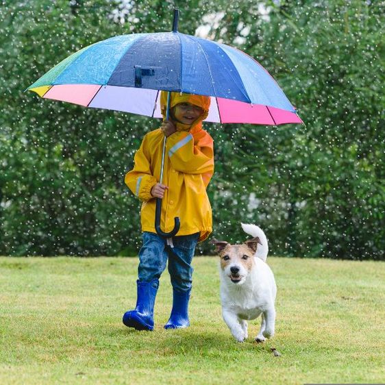 Xu Hướng Toàn Cầu, Quy Định và Giải Pháp Liên Quan Đến PFAS Xu Hướng Toàn Cầu, Quy Định và Giải Pháp Liên Quan Đến PFAS