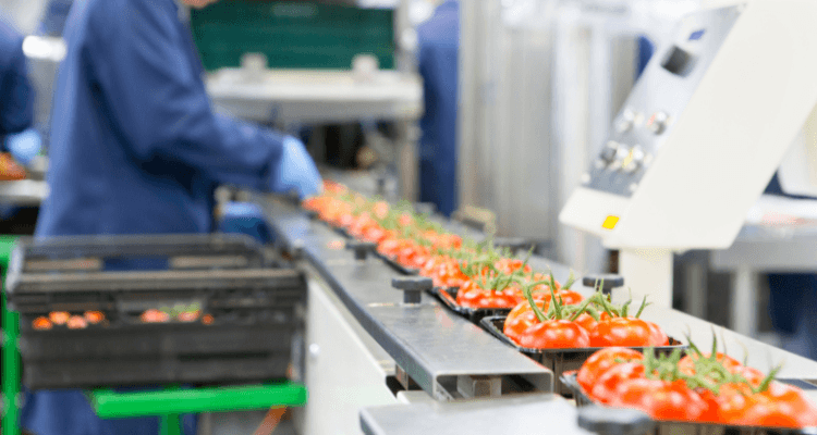 Changes to the audit protocol
